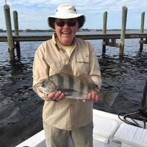 Meet your Posher, Bud